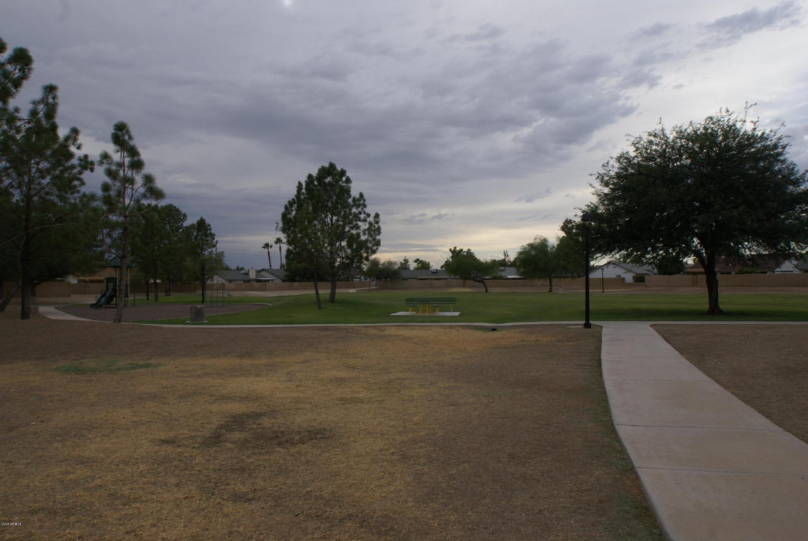 10102 W Windsor Blvd, Glendale, AZ 85307 photo 20