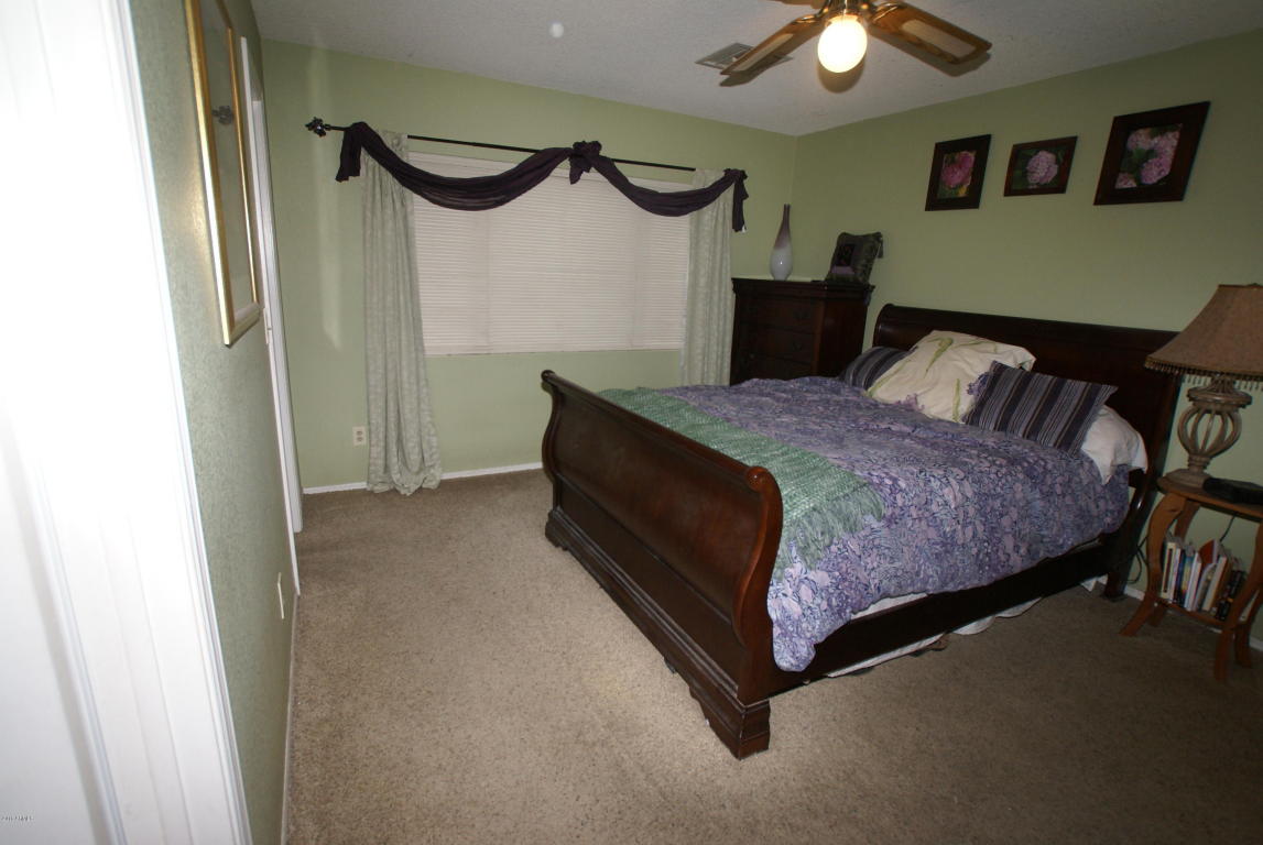 10102 W Windsor Blvd, Glendale, AZ 85307 photo 17