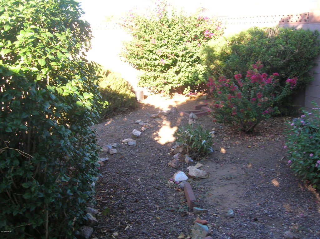 5918 E Dallas St, Mesa, AZ 85205 photo 10