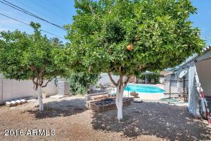 1213 E Myrtle Ave, Phoenix, AZ 85020 photo 26