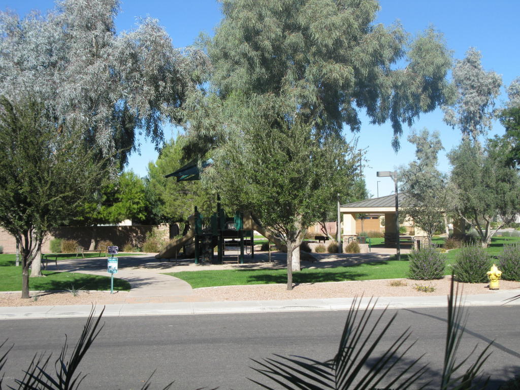 2737 E Blue Spruce Ln, Gilbert, AZ 85298 photo 36