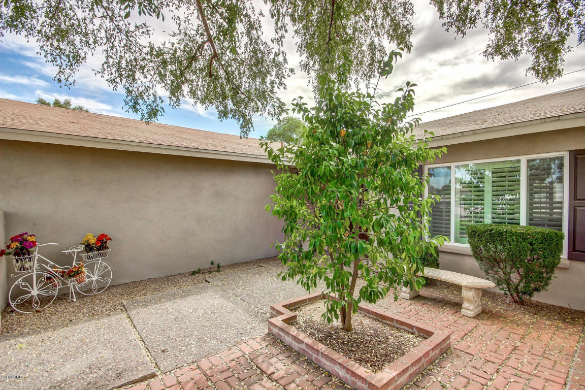 3101 E Cheryl Dr, Phoenix, AZ 85028 photo 4