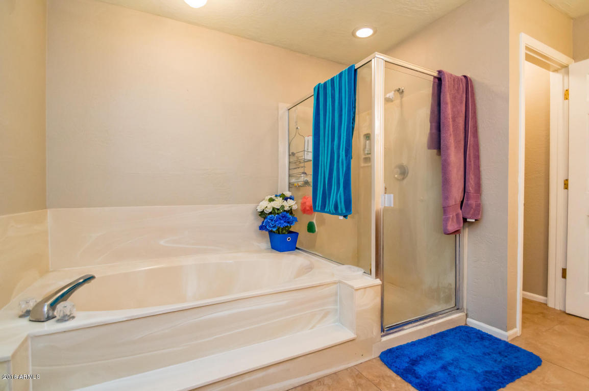 3943 E Dover St, Mesa, AZ 85205 photo 16