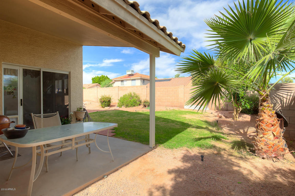 4354 E Mountain Vista Dr, Phoenix, AZ 85048 photo 6