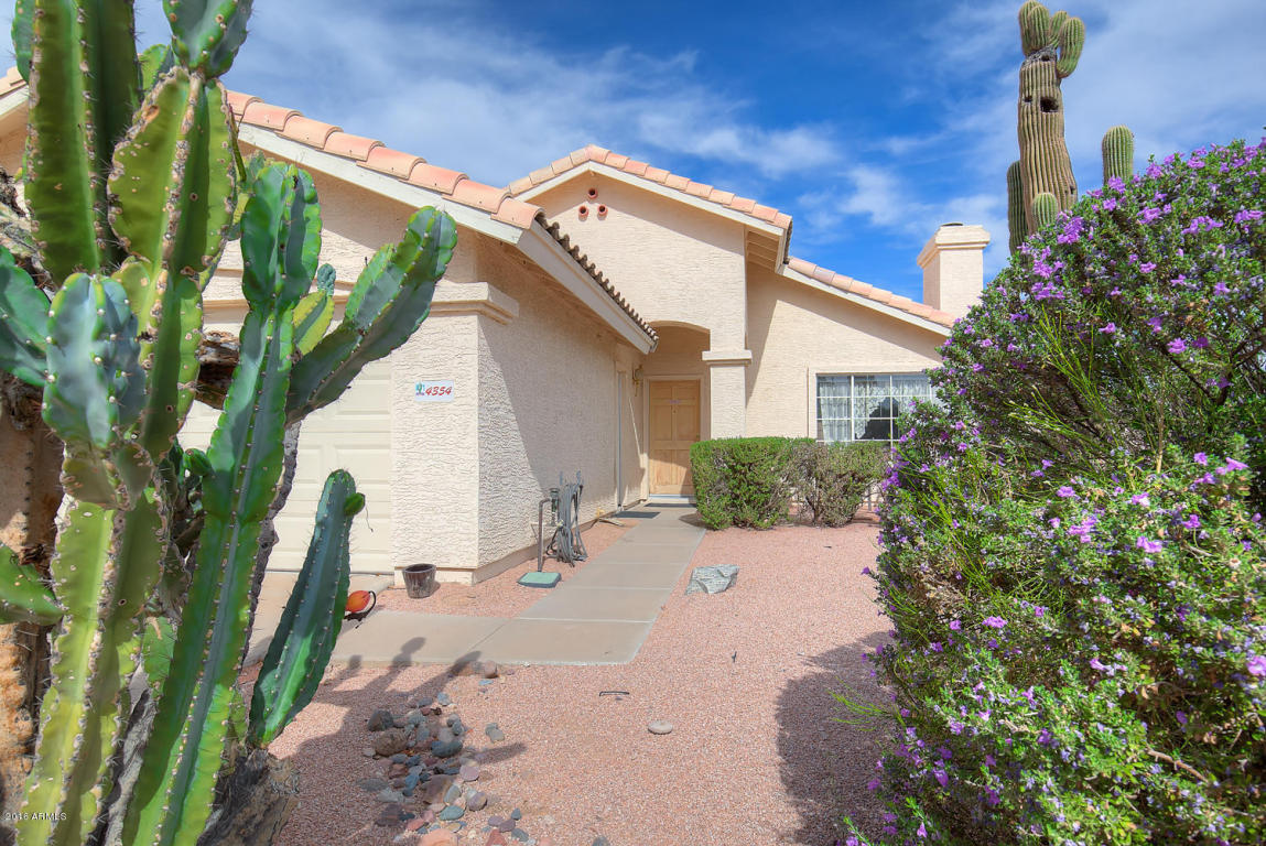 4354 E Mountain Vista Dr, Phoenix, AZ 85048 photo 5