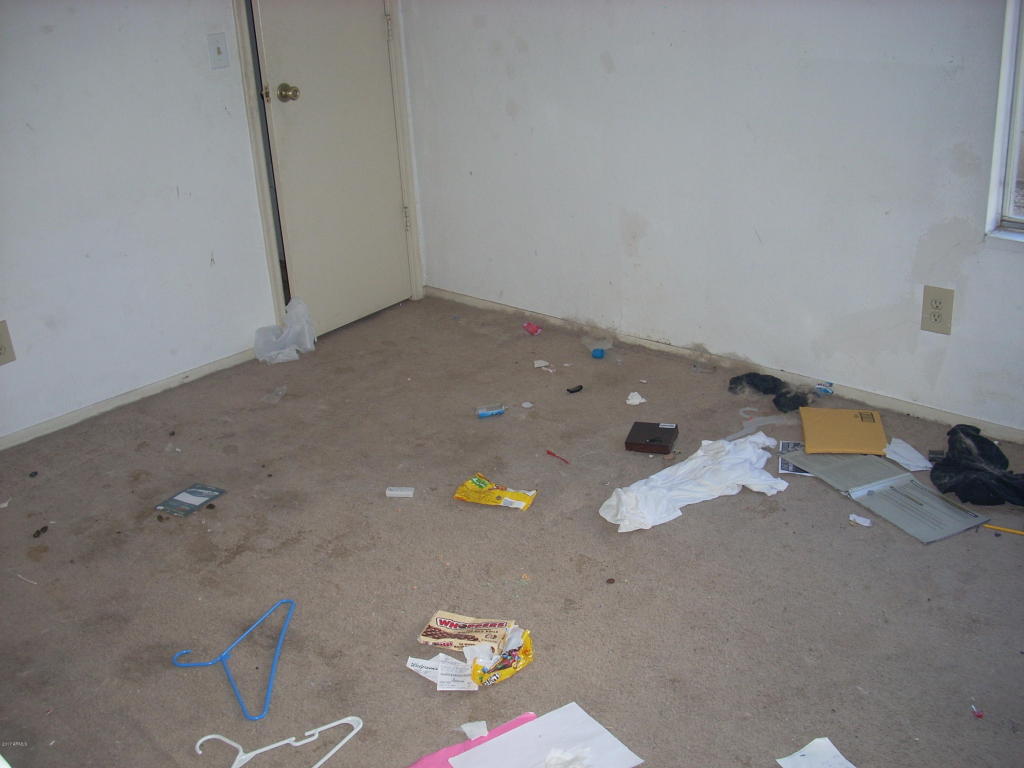 4409 N 100th Ave, Phoenix, AZ 85037 photo 29