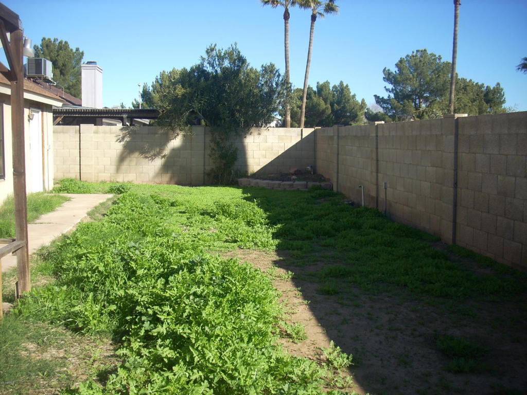 4409 N 100th Ave, Phoenix, AZ 85037 photo 11