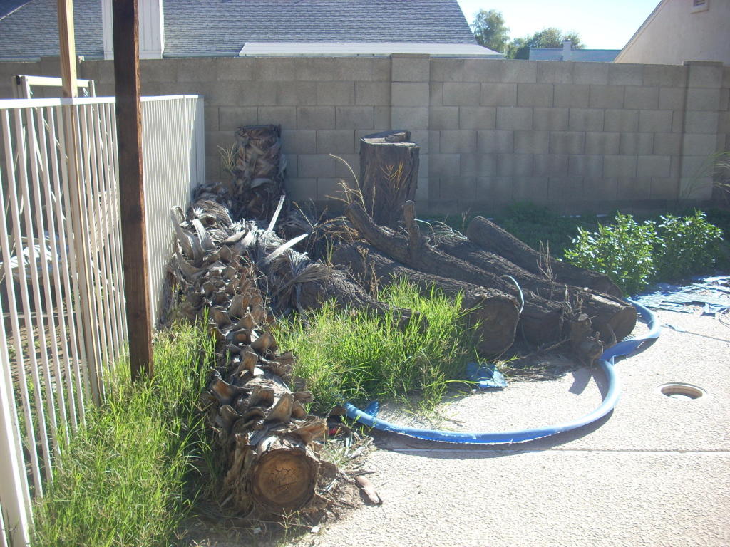 4409 N 100th Ave, Phoenix, AZ 85037 photo 7