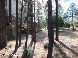 2932 Ransack Rd, Overgaard, AZ 85933 photo 35