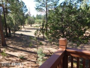 2932 Ransack Rd, Overgaard, AZ 85933 photo 24