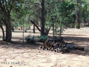 2932 Ransack Rd, Overgaard, AZ 85933 photo 37