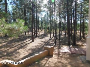 2932 Ransack Rd, Overgaard, AZ 85933 photo 40