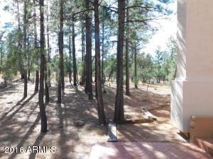 2932 Ransack Rd, Overgaard, AZ 85933 photo 26