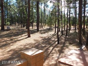 2932 Ransack Rd, Overgaard, AZ 85933 photo 41