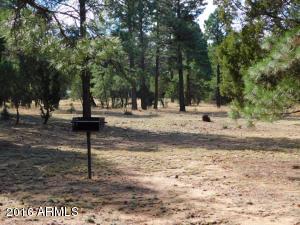 2932 Ransack Rd, Overgaard, AZ 85933 photo 36