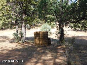 2932 Ransack Rd, Overgaard, AZ 85933 photo 38