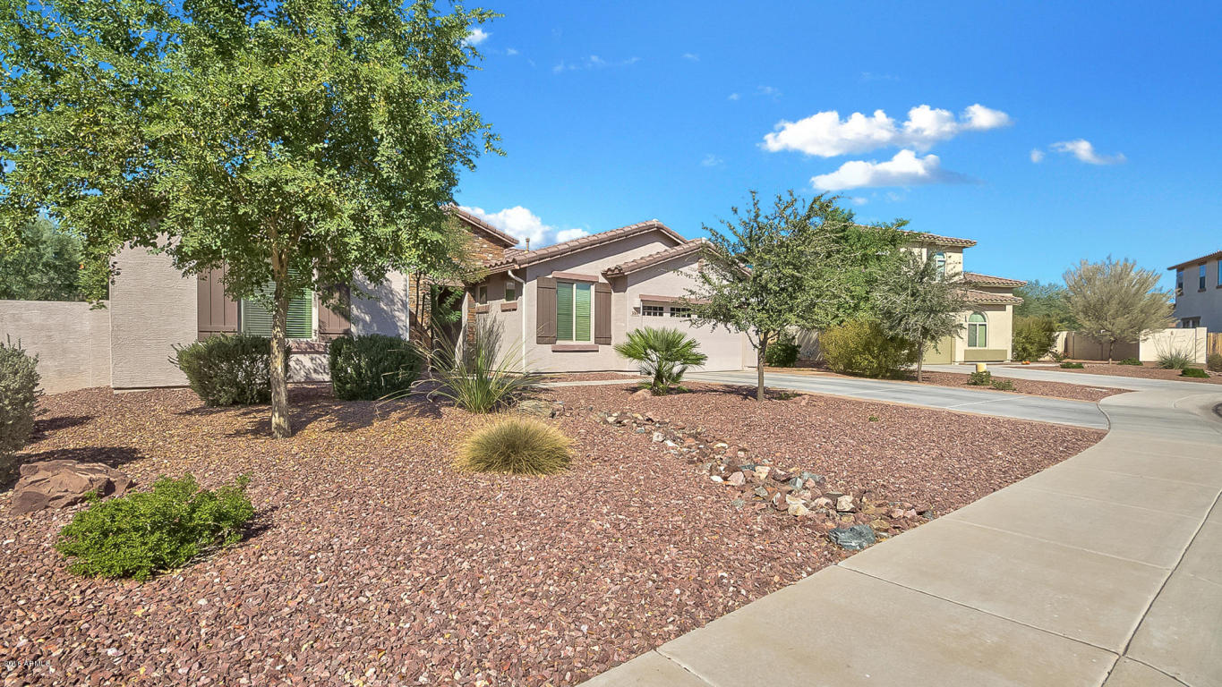 1064 E Periwinkle Way, Gilbert, AZ 85297 photo 5