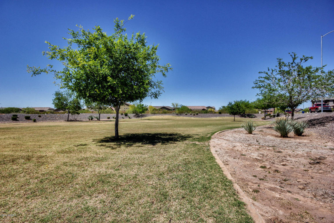 11303 E Sable Ave, Mesa, AZ 85212 photo 50