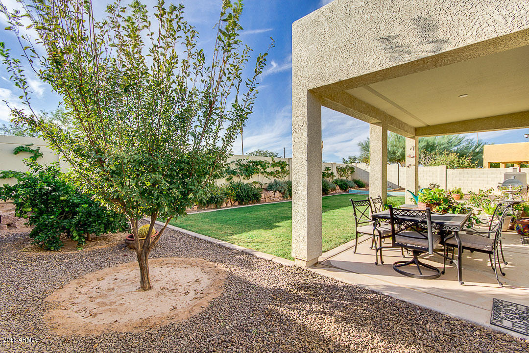 11303 E Sable Ave, Mesa, AZ 85212 photo 43