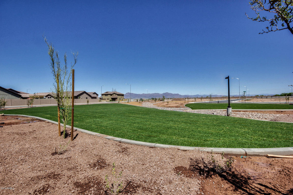 11303 E Sable Ave, Mesa, AZ 85212 photo 58