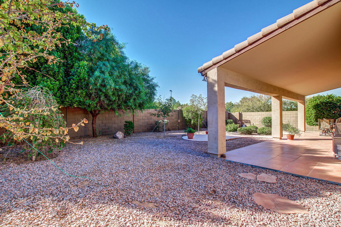 893 W Park Ave, Gilbert, AZ 85233 photo 35