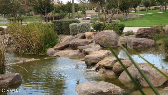10229 E Sable Ave, Mesa, AZ 85212 photo 22
