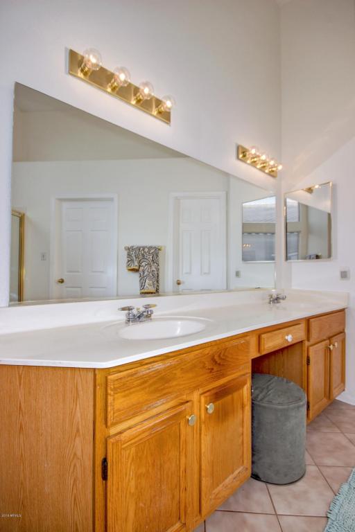 365 E Catclaw Ct, Gilbert, AZ 85296 photo 18