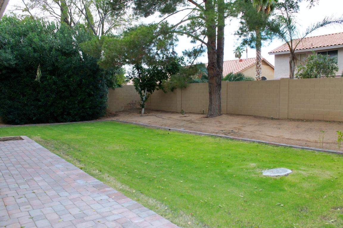 4550 E Grovers Ave, Phoenix, AZ 85032 photo 14