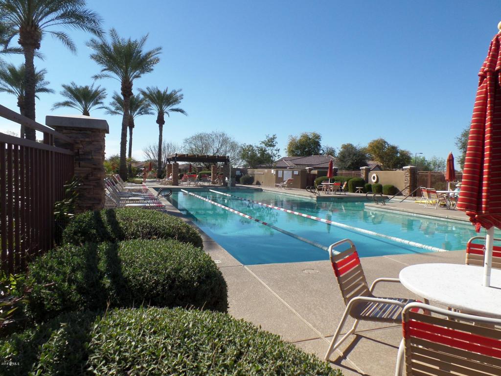4337 E Ficus Way, Gilbert, AZ 85298 photo 24