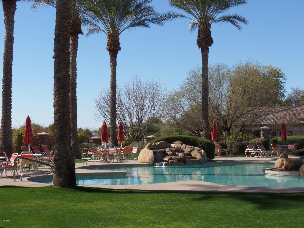 4337 E Ficus Way, Gilbert, AZ 85298 photo 23
