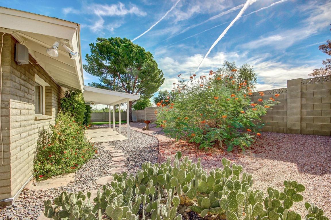 2521 E Cinnabar Ave, Phoenix, AZ 85028 photo 32