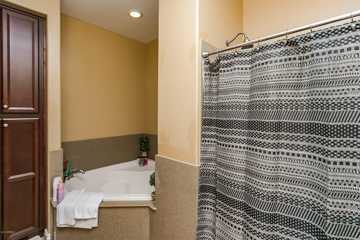 10117 E Brown Rd, Mesa, AZ 85207 photo 25