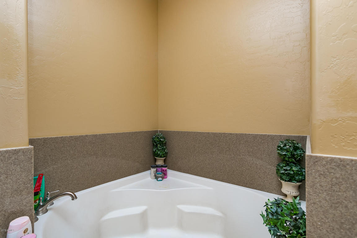 10117 E Brown Rd, Mesa, AZ 85207 photo 27
