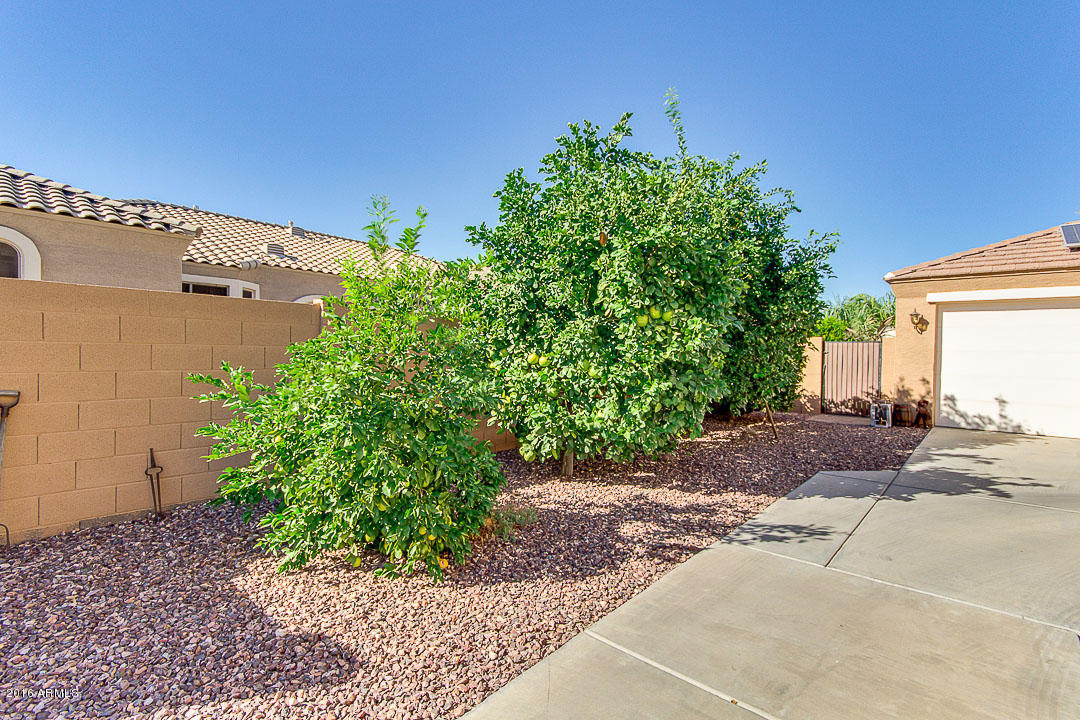 3694 Esplanade Ave, Gilbert, AZ 85297 photo 4