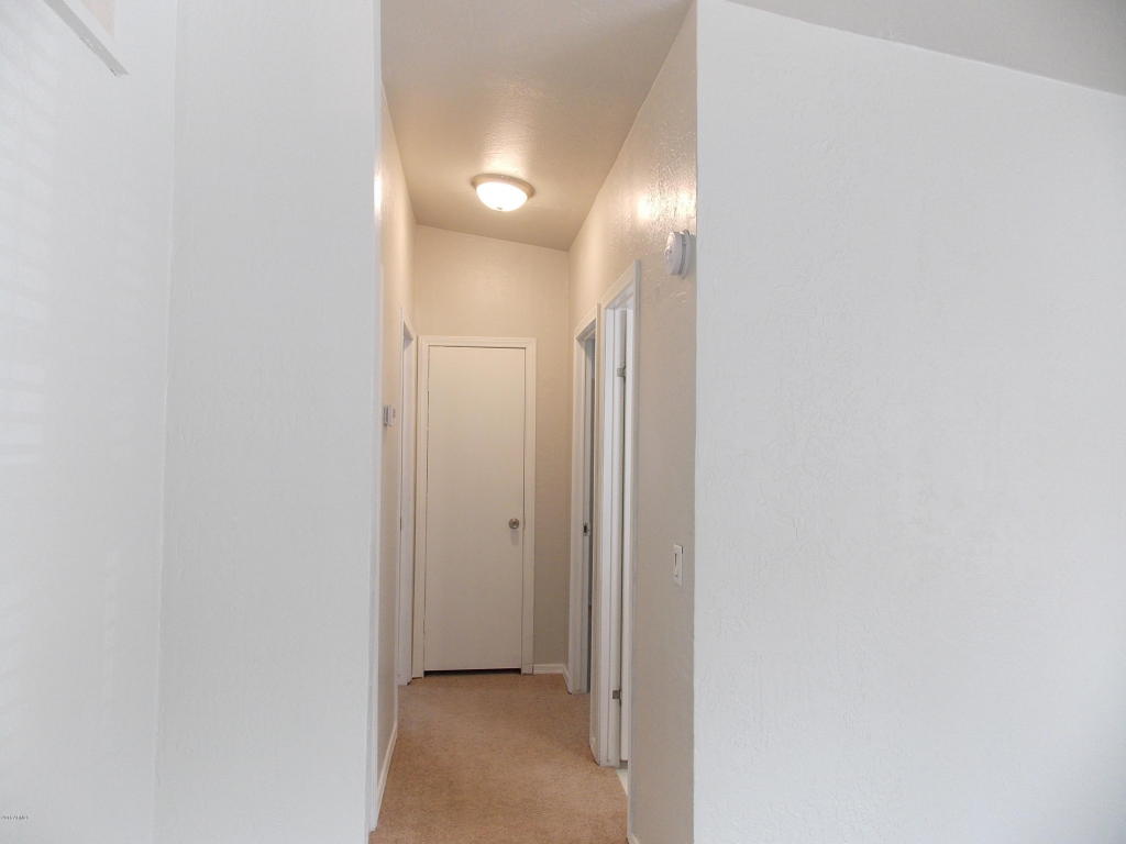 2866 Rainbow Trl, Overgaard, AZ 85933 photo 19