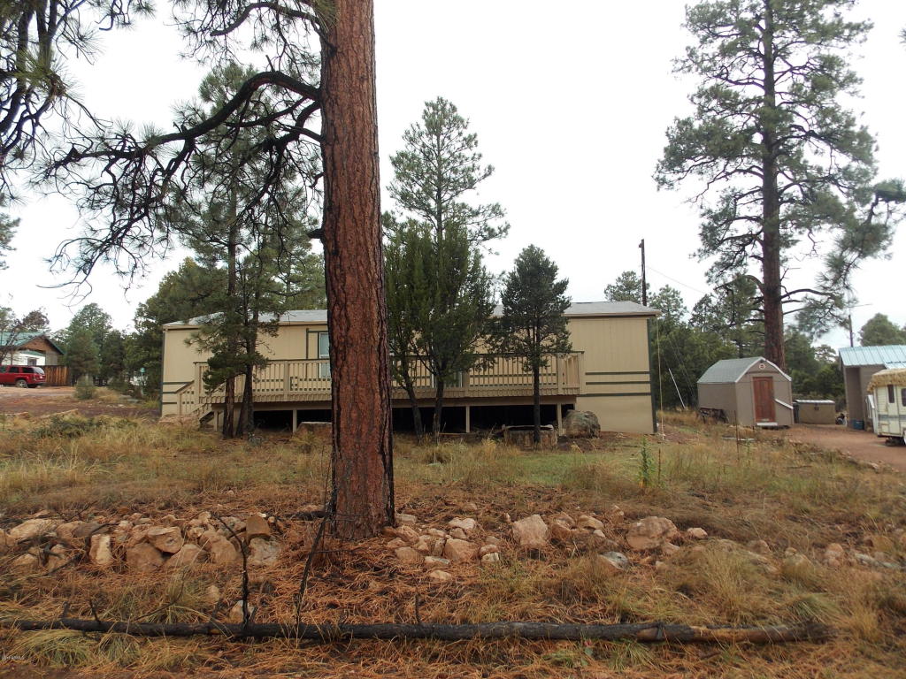 2866 Rainbow Trl, Overgaard, AZ 85933 photo 21