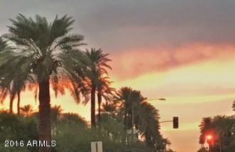 4426 E Campbell Ave, Phoenix, AZ 85018 photo 43