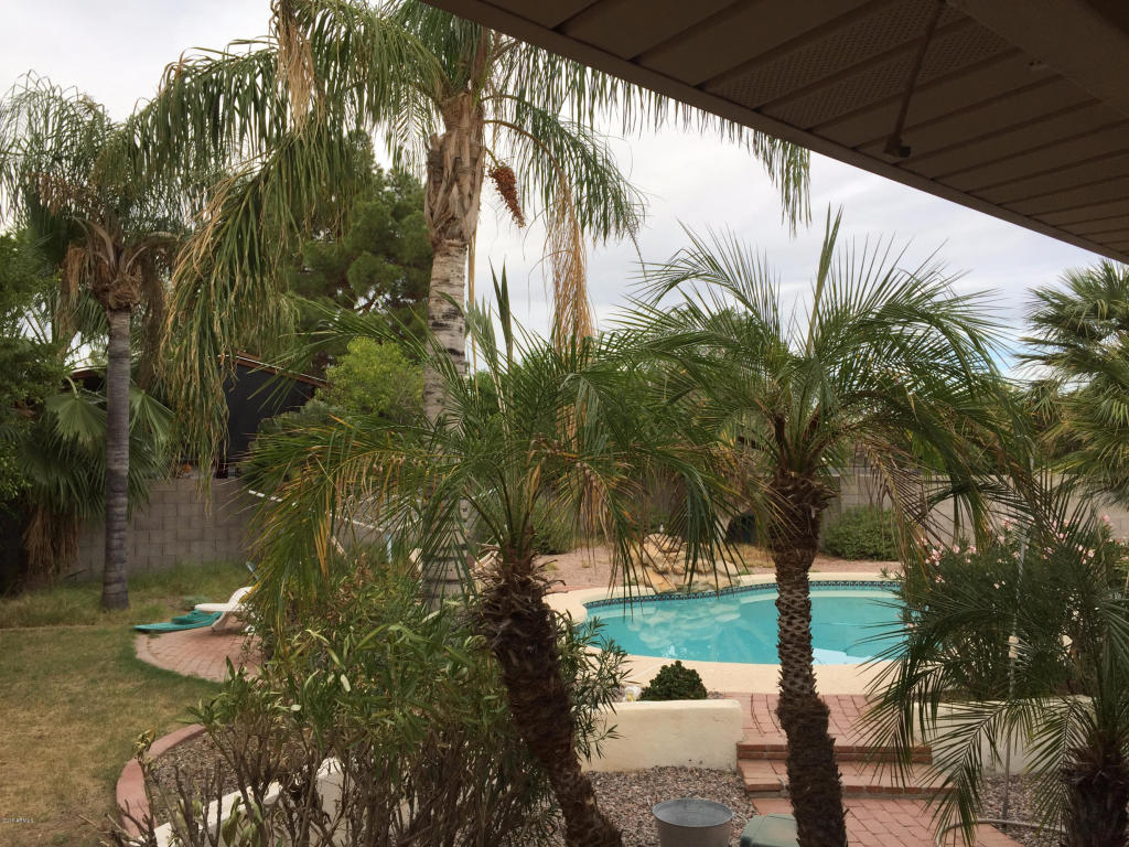 5550 E Drummer Ave, Mesa, AZ 85206 photo 8