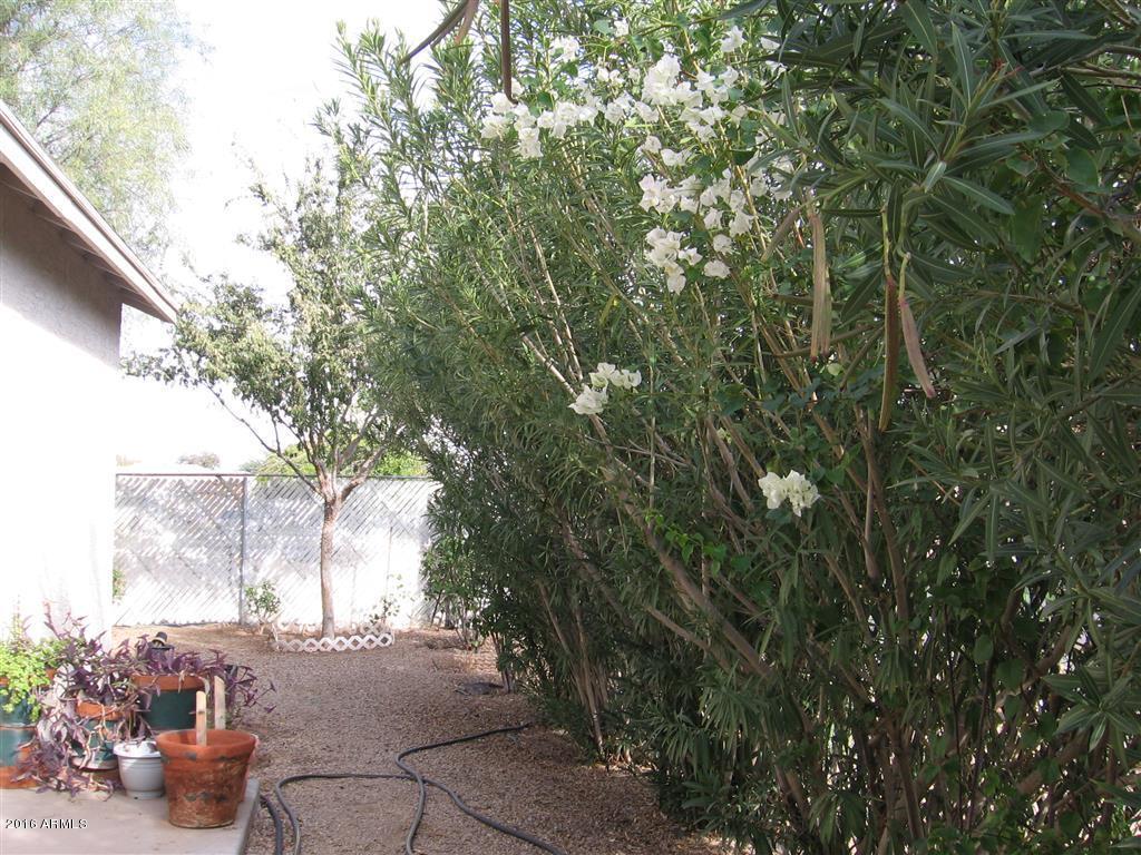 316 E Hidalgo Ave, Phoenix, AZ 85040 photo 22
