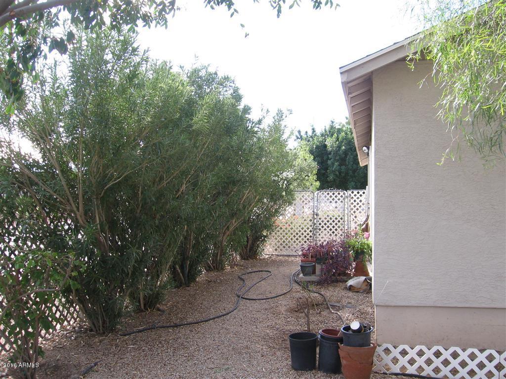 316 E Hidalgo Ave, Phoenix, AZ 85040 photo 20