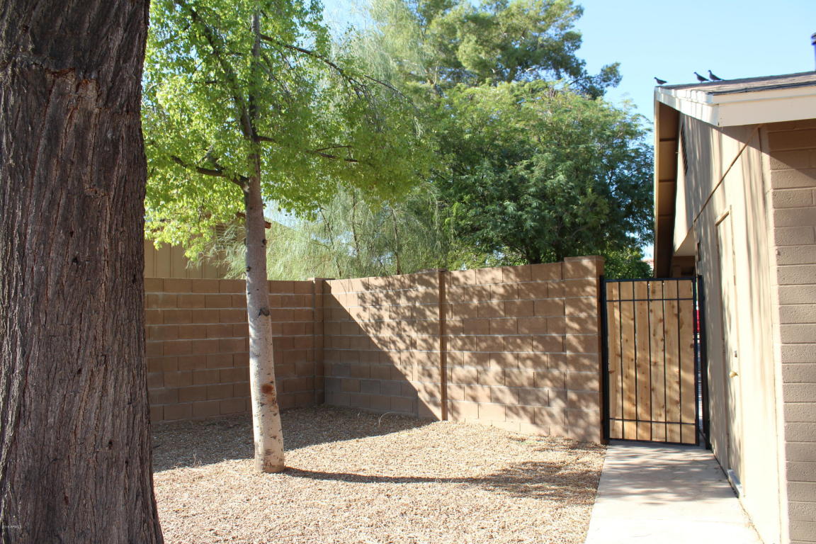 413 E Harvard Dr, Tempe, AZ 85283 photo 34