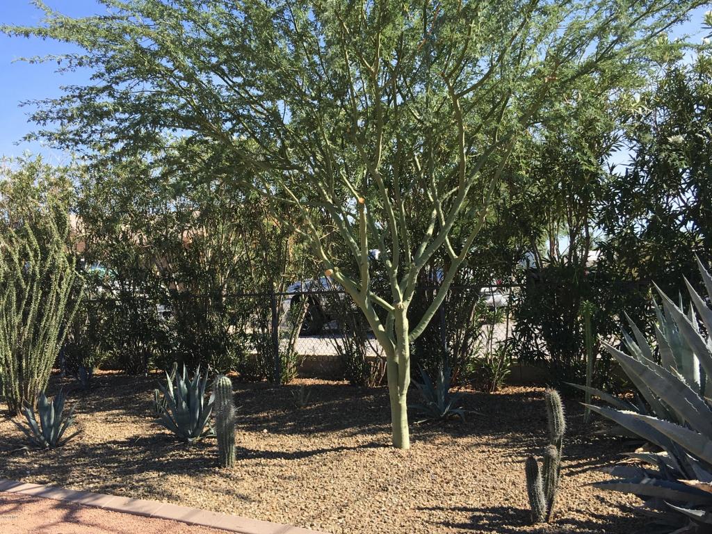 2277 N Valley Dr, Apache Junction, AZ 85120 photo 12