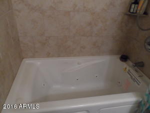 1053 E 7th Dr, Mesa, AZ 85204 photo 10