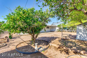 1531 S Lawther Dr, Apache Junction, AZ 85120 photo 26