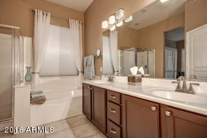25619 N Singbush Loop, Phoenix, AZ 85083 photo 22