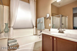 25619 N Singbush Loop, Phoenix, AZ 85083 photo 23