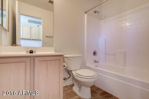1102 N Steele St, Mesa, AZ 85207 photo 26