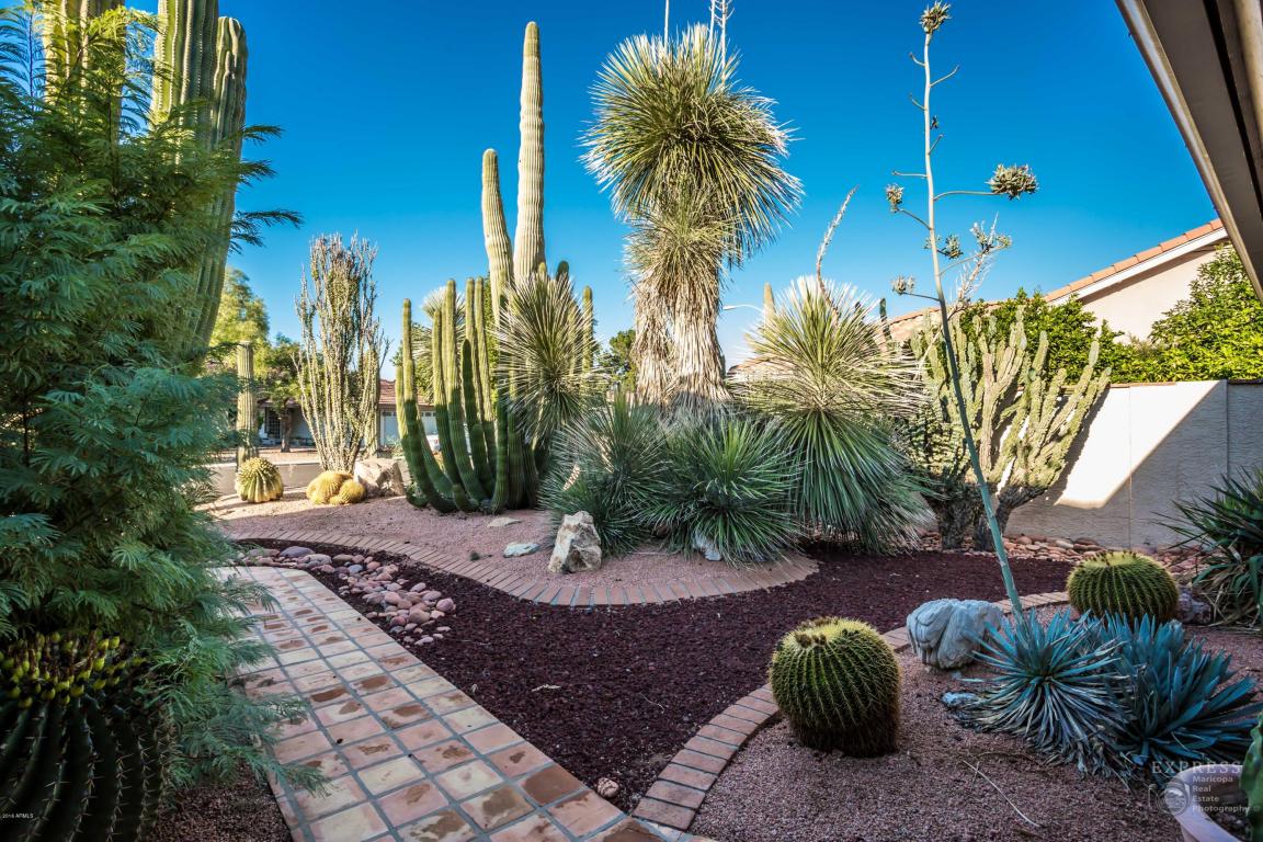 5301 Enrose St, Mesa, AZ 85205 photo 5