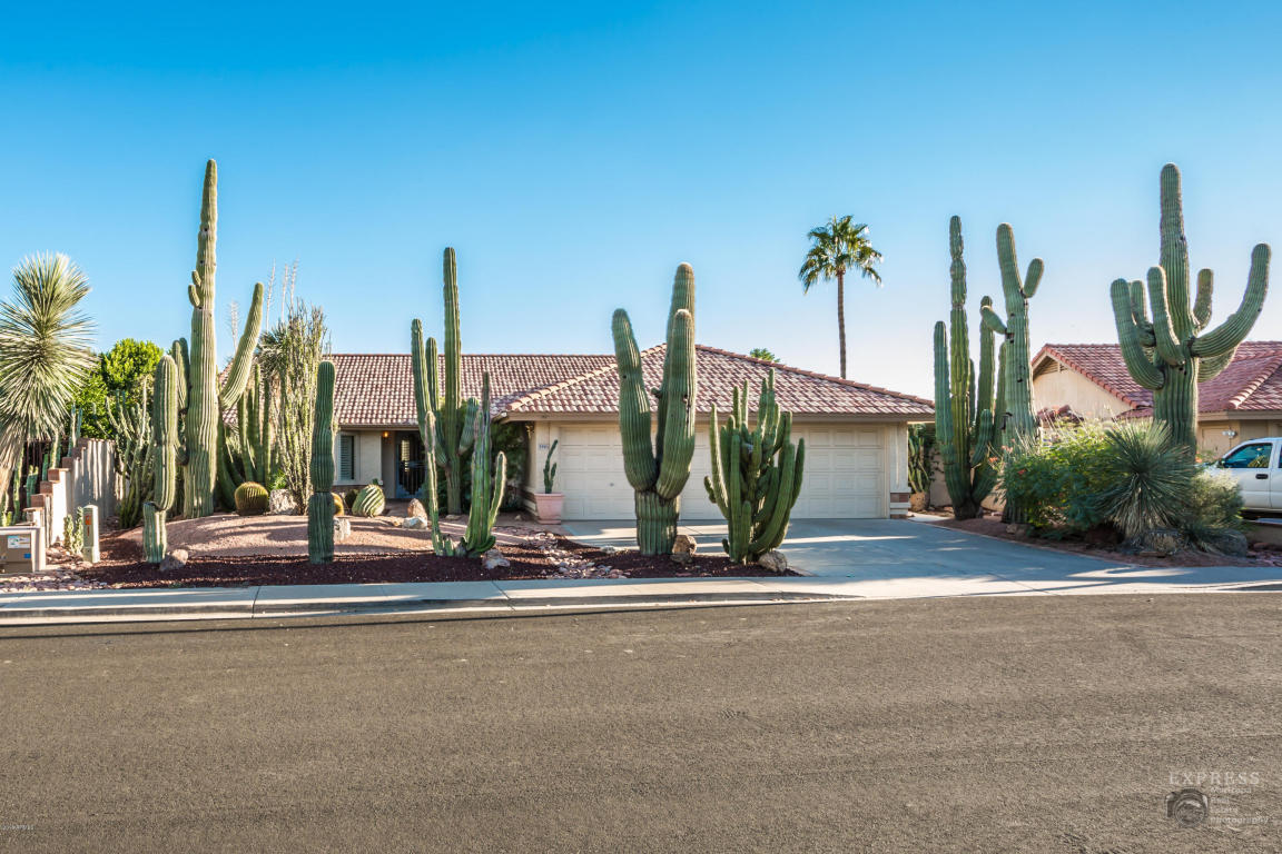 5301 Enrose St, Mesa, AZ 85205 photo 1