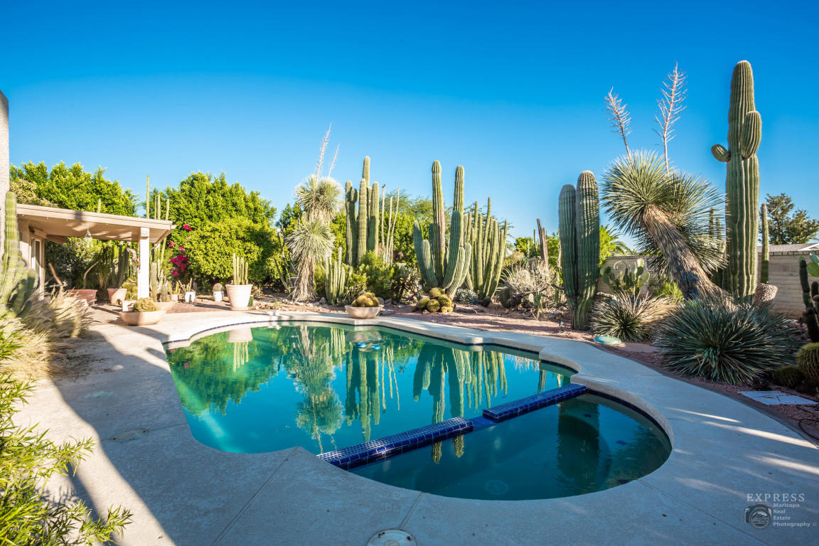 5301 Enrose St, Mesa, AZ 85205 photo 26